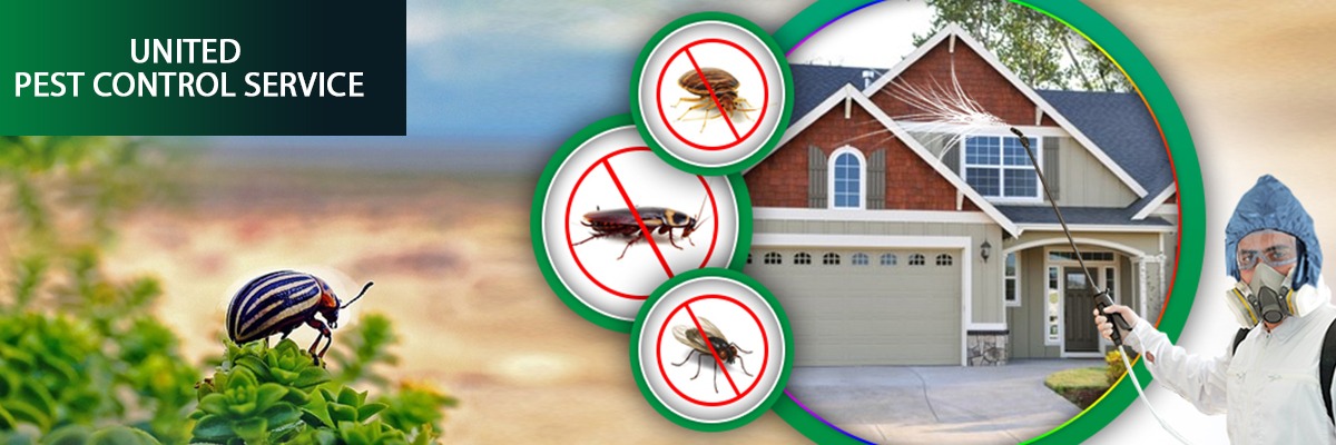 United Pest Control Services 